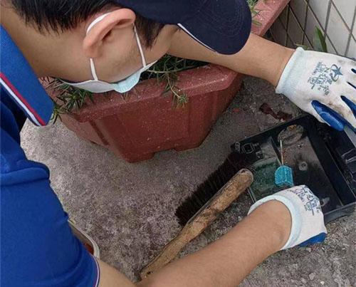 颍泉区灭鼠